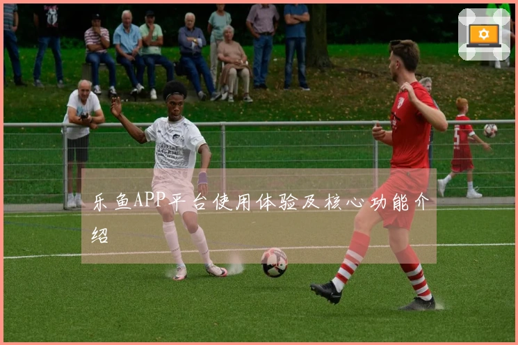 乐鱼APP平台使用体验及核心功能介绍