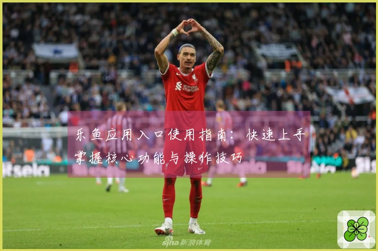 乐鱼应用入口使用指南：快速上手掌握核心功能与操作技巧