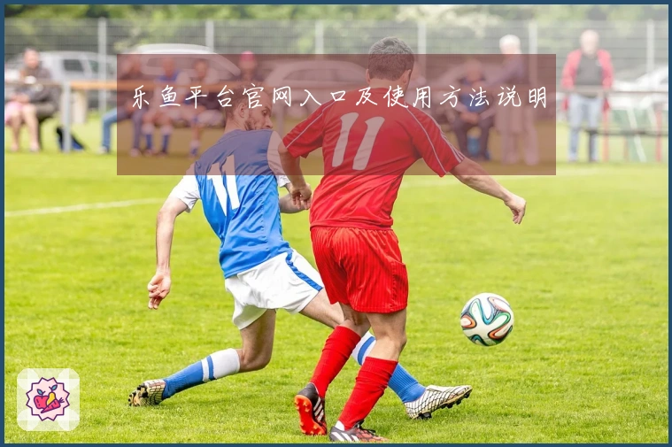 乐鱼平台官网入口及使用方法说明